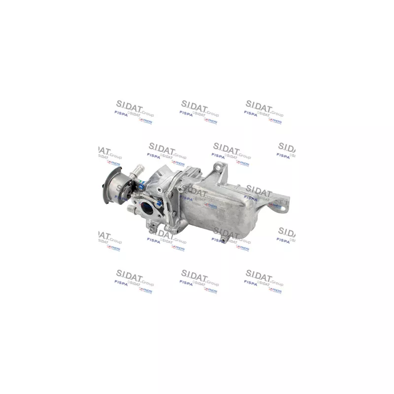 Module-EGR SIDAT 83.1199