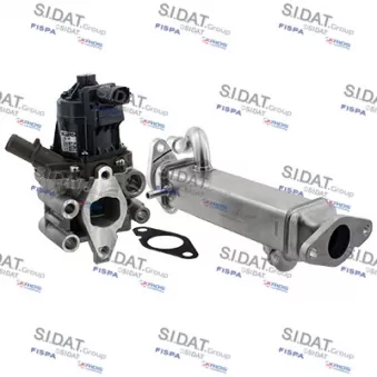 Module-EGR SIDAT 83.1387