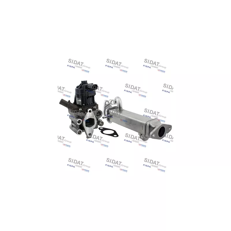 Module-EGR SIDAT 83.1387