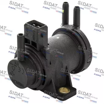 Transmetteur de pression, controle des gaz d'échappement SIDAT 83.874