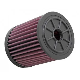 Filtre à air sport K&N FILTERS E-1983