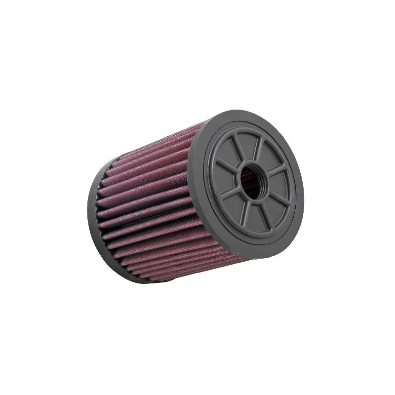 Filtre à air sport K&N FILTERS E-1983
