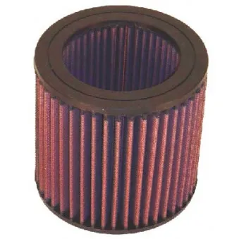 Filtre à air sport K&N FILTERS E-2455