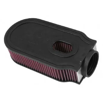 Filtre à air sport K&N FILTERS E-2998