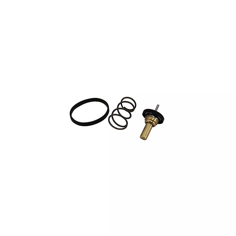 Thermostat, liquide de refroidissement SIDAT 94.039