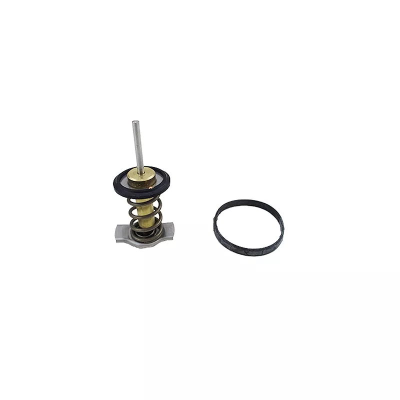 Thermostat, liquide de refroidissement SIDAT 94.939