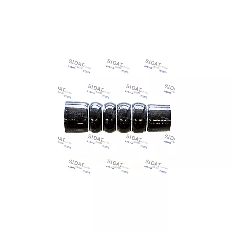 Gaine de suralimentation FISPA 500242