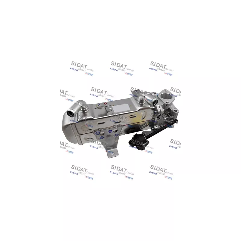 Module-EGR FISPA 83.1465