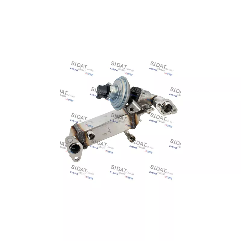 Module-EGR FISPA 83.1645