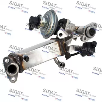Module-EGR FISPA 83.1647