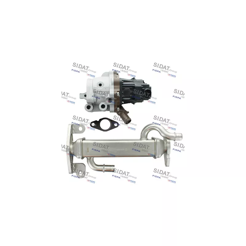 Module-EGR FISPA 83.1741