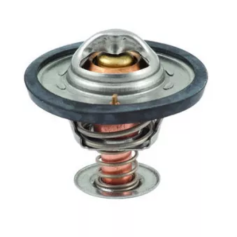 Thermostat, liquide de refroidissement FISPA 94.091