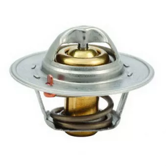 Thermostat, liquide de refroidissement FISPA 94.093