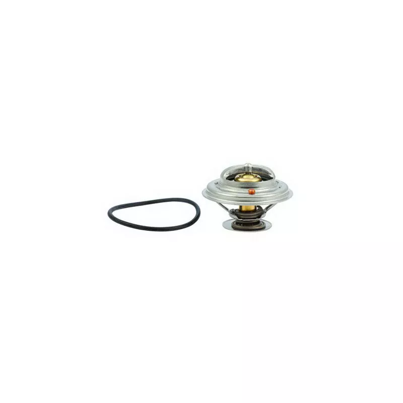 Thermostat, liquide de refroidissement FISPA 94.173