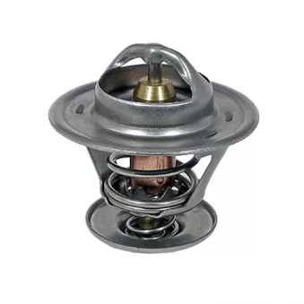 Thermostat, liquide de refroidissement FISPA 94.194
