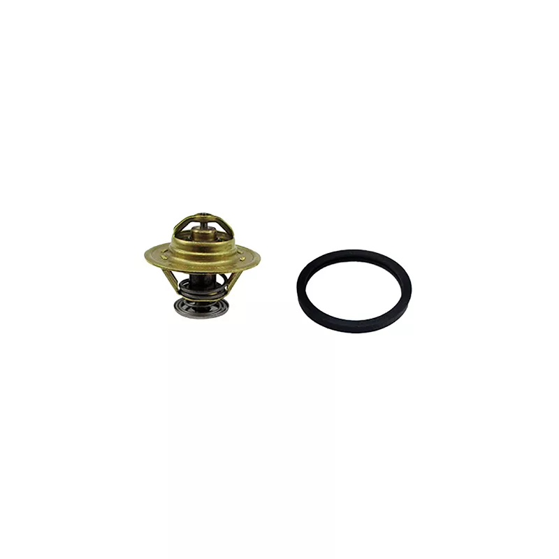 Thermostat, liquide de refroidissement FISPA 94.237