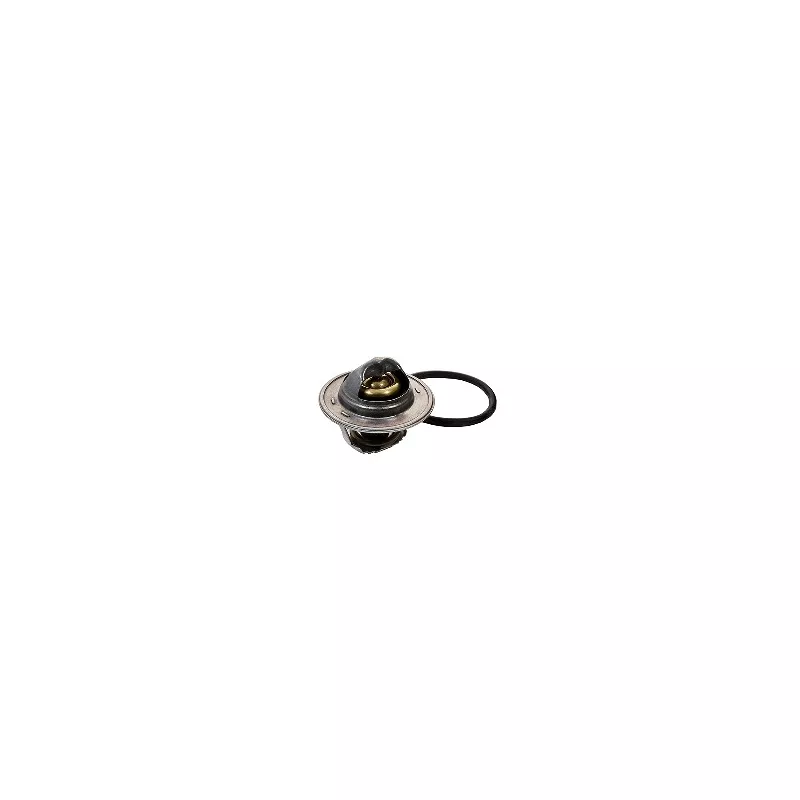 Thermostat, liquide de refroidissement FISPA 94.301