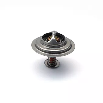 Thermostat, liquide de refroidissement FISPA 94.318