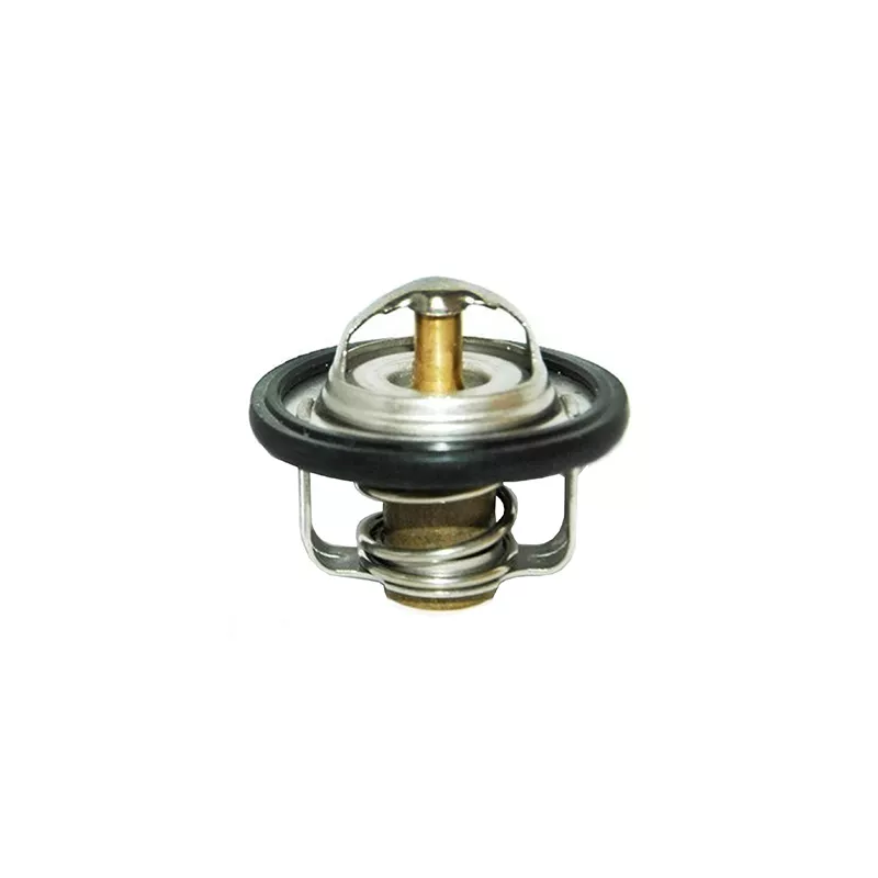 Thermostat, liquide de refroidissement FISPA 94.335