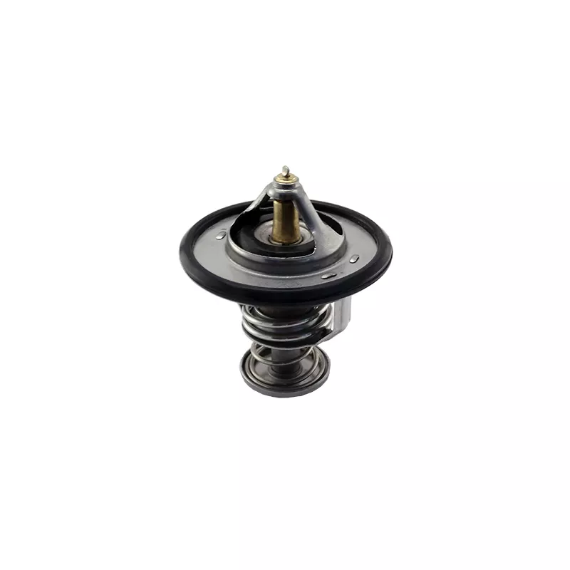 Thermostat, liquide de refroidissement FISPA 94.339