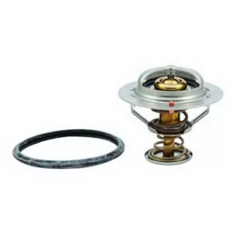 Thermostat, liquide de refroidissement FISPA 94.343