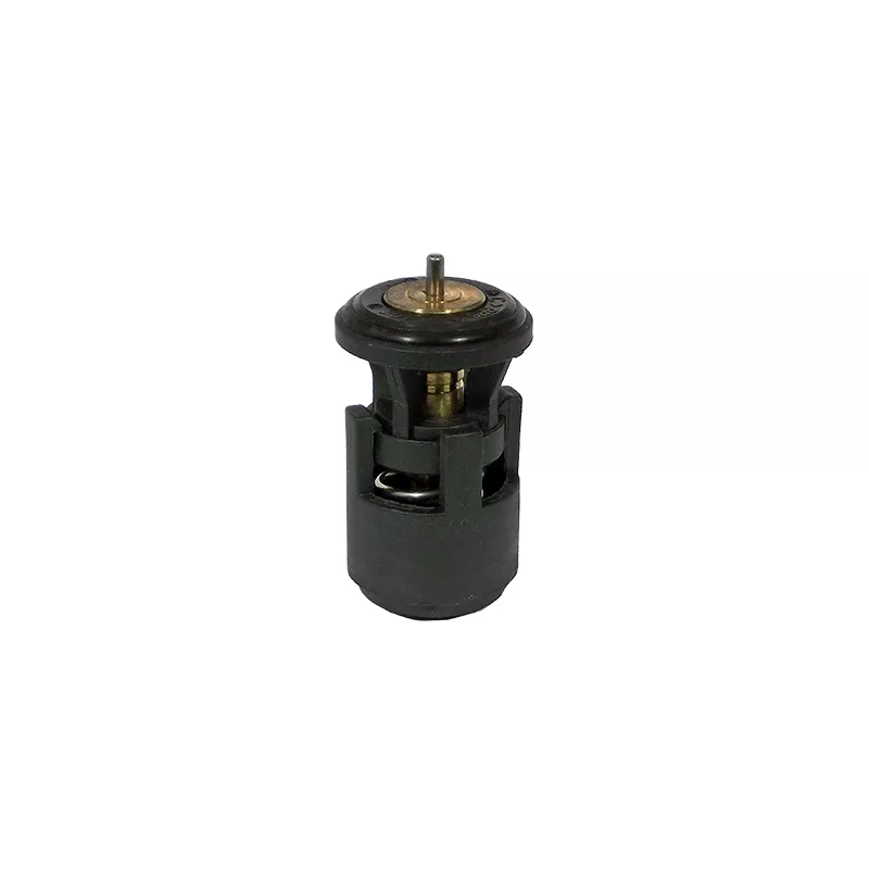Thermostat, liquide de refroidissement FISPA 94.345