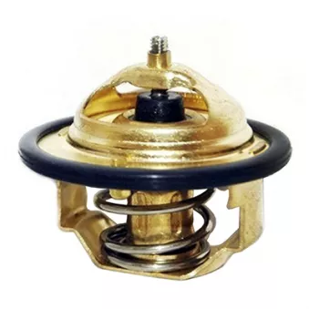 Thermostat, liquide de refroidissement FISPA 94.356