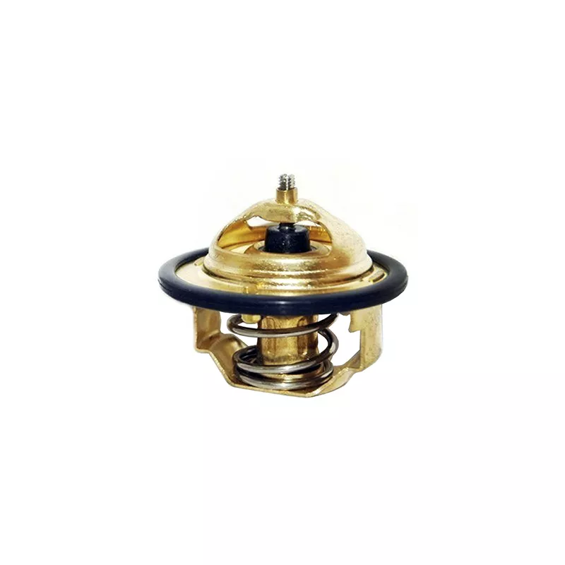 Thermostat, liquide de refroidissement FISPA 94.356