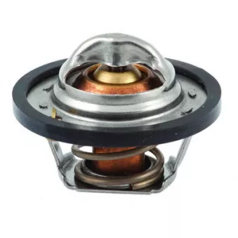 Thermostat, liquide de refroidissement FISPA 94.388