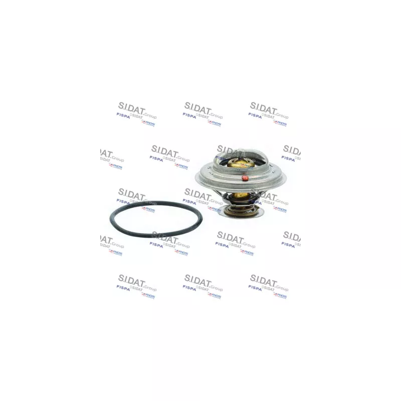 Thermostat, liquide de refroidissement FISPA 94.466A2