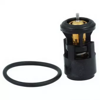 Thermostat, liquide de refroidissement FISPA 94.479