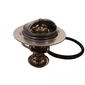 Thermostat, liquide de refroidissement FISPA 94.531