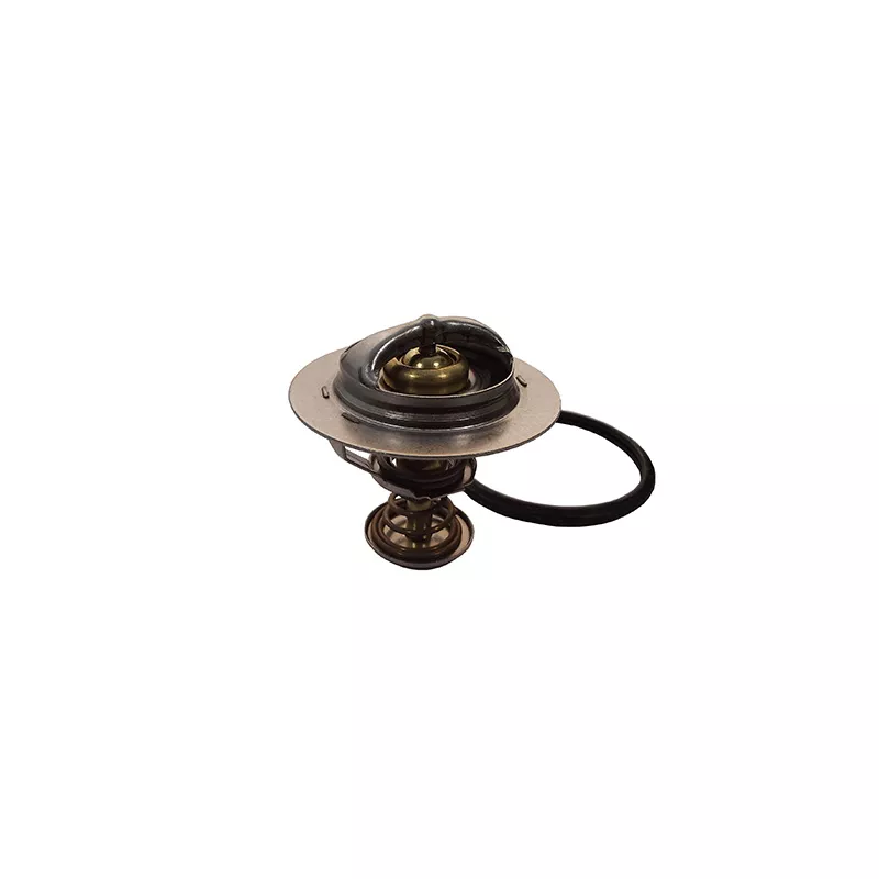 Thermostat, liquide de refroidissement FISPA 94.531