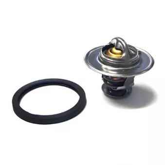 Thermostat, liquide de refroidissement FISPA 94.544