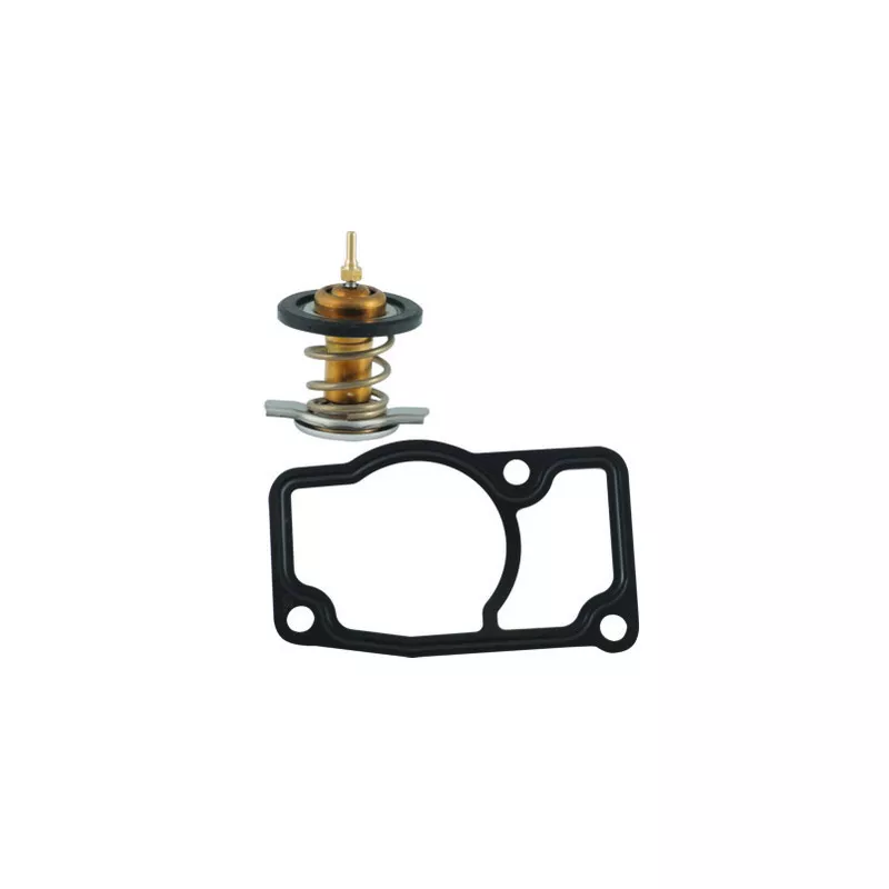 Thermostat, liquide de refroidissement FISPA 94.600IN