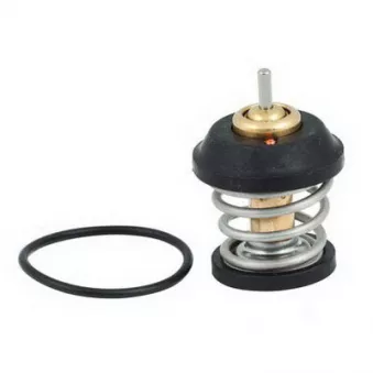 Thermostat, liquide de refroidissement FISPA 94.616