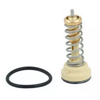 Thermostat, liquide de refroidissement FISPA 94.617