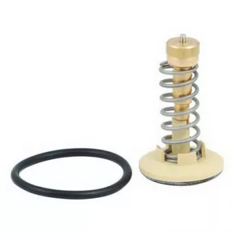 Thermostat, liquide de refroidissement FISPA 94.646