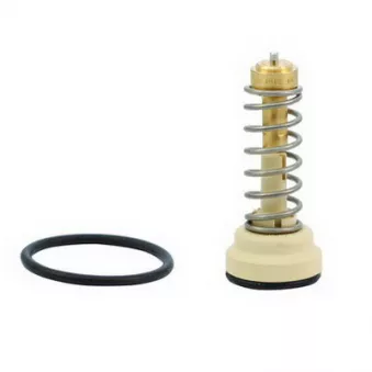 Thermostat, liquide de refroidissement FISPA