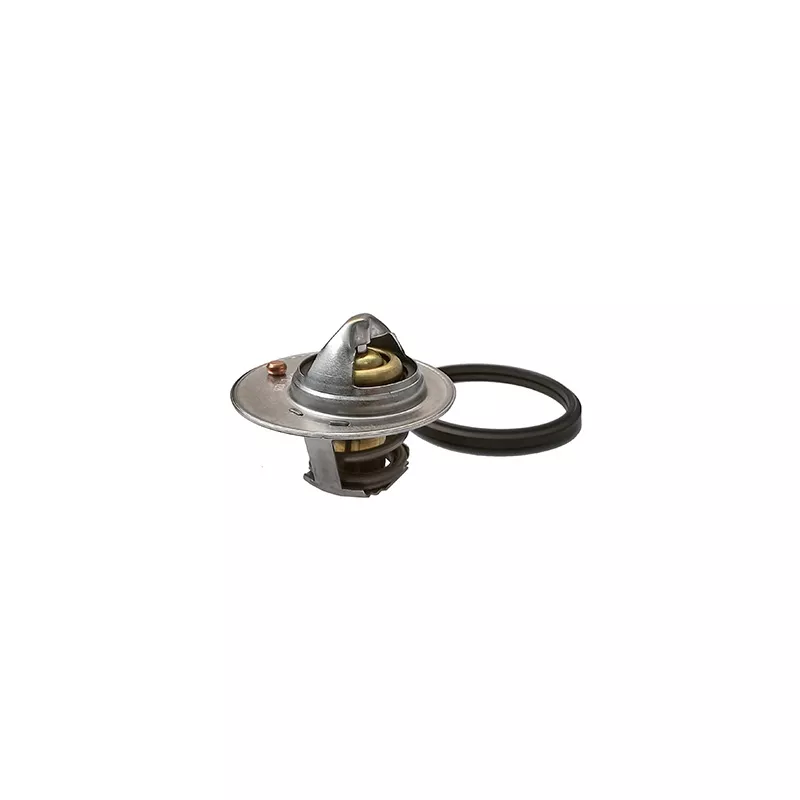 Thermostat, liquide de refroidissement FISPA 94.684