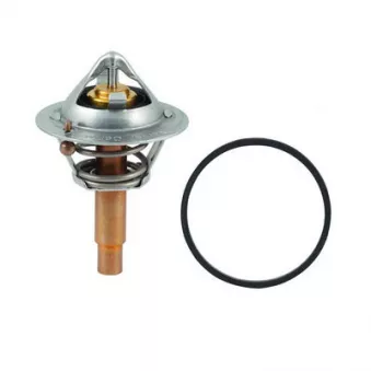 Thermostat, liquide de refroidissement FISPA 94.695