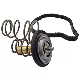 Thermostat, liquide de refroidissement FISPA 94.717IN