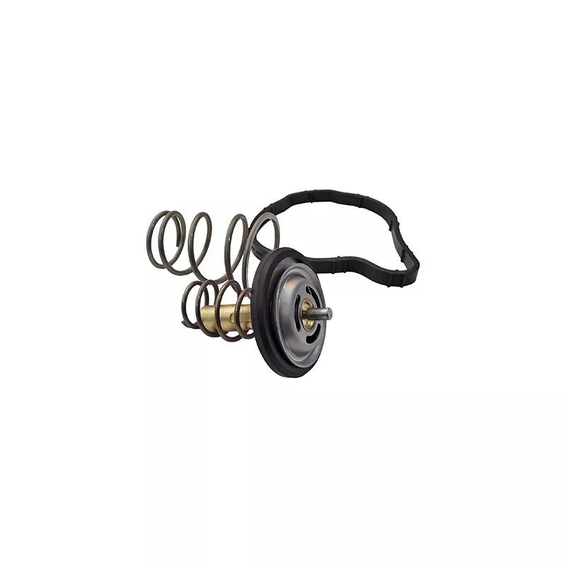 Thermostat, liquide de refroidissement FISPA 94.717IN