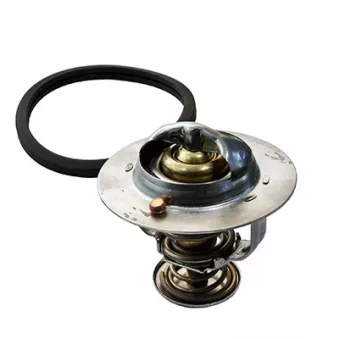 Thermostat, liquide de refroidissement FISPA 94.733