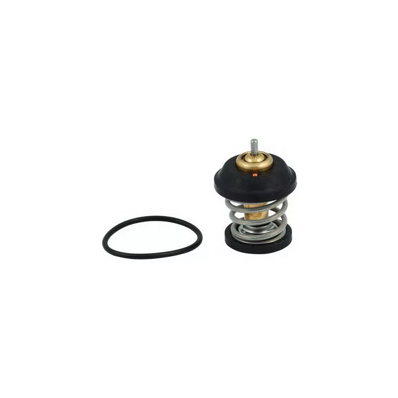 Thermostat, liquide de refroidissement FISPA 94.758