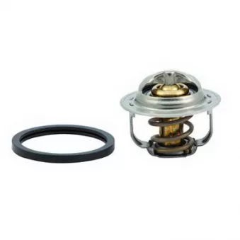 Thermostat, liquide de refroidissement FISPA 94.760