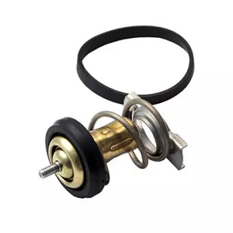 Thermostat, liquide de refroidissement FISPA 94.769IN