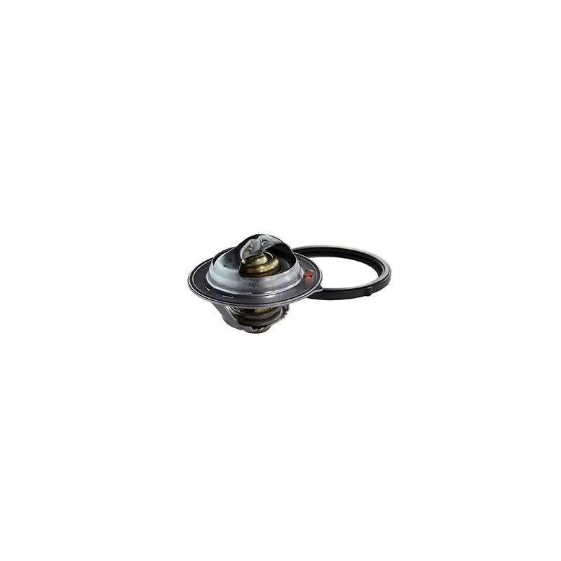 Thermostat, liquide de refroidissement FISPA 94.788