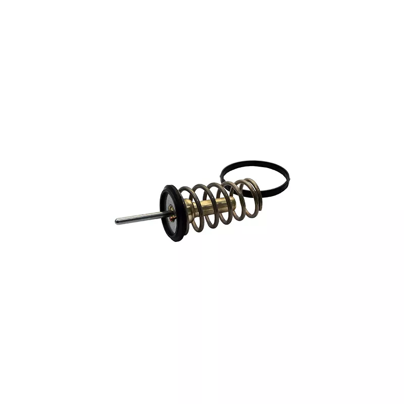 Thermostat, liquide de refroidissement FISPA 94.789