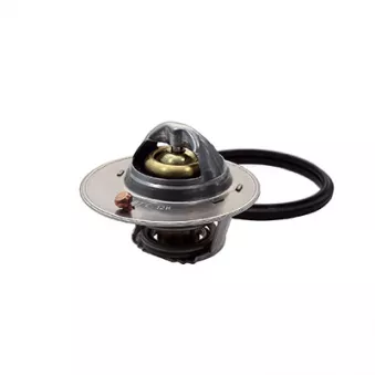 Thermostat, liquide de refroidissement FISPA 94.791